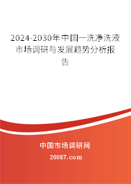 2024-2030年中国一洗净洗液市场调研与发展趋势分析报告