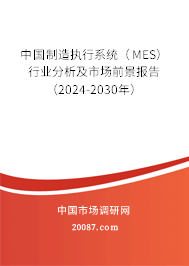 中国制造执行系统（MES）行业分析及市场前景报告（2024-2030年）