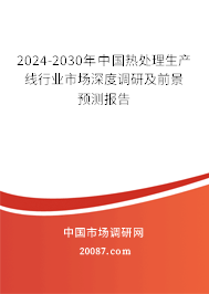 2024-2030年中国热处理生产线行业市场深度调研及前景预测报告