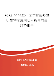 2023-2029年中国丙烯酸及其衍生物发展现状分析与前景趋势报告