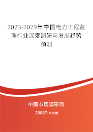 2023-2029年中国电力工程监理行业深度调研与发展趋势预测