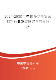 2024-2030年中国多功能复合材料行业发展研究与前景分析