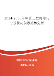 2024-2030年中国工程纤维行业现状与前景趋势分析