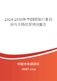 2024-2030年中国聚酯行业调研与市场前景预测报告