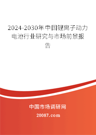 2024-2030年中国锂离子动力电池行业研究与市场前景报告