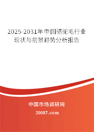 2025-2031年中国骆驼毛行业现状与前景趋势分析报告 2025-2031年中国骆驼毛行业现状与前景趋势分析报告