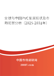 全球与中国PVC发展现状及市场前景分析(2025-2031年) 全球与中国PVC发展现状及市场前景分析(2025-2031年)