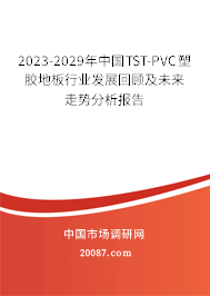 2023-2029年中国TST-PVC塑胶地板行业发展回顾及未来走势分析报告