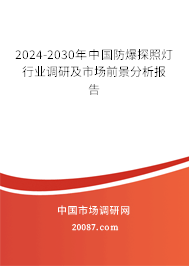 2024-2030年中国防爆探照灯行业调研及市场前景分析报告