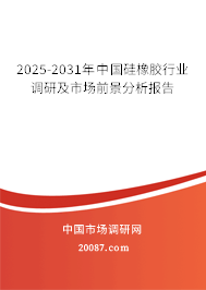 2025-2031年中国硅橡胶行业调研及市场前景分析报告 2025-2031年中国硅橡胶行业调研及市场前景分析报告
