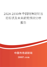 2024-2030年中国特殊链轮当前现状及未来趋势预测分析报告