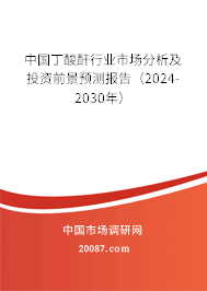 中国丁酸酐行业市场分析及投资前景预测报告（2024-2030年）