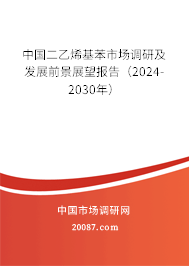 中国二乙烯基苯市场调研及发展前景展望报告（2024-2030年）