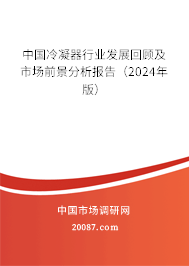 中国冷凝器行业发展回顾及市场前景分析报告（2024年版）