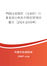 中国马来酸酐（马来酐）行业发展分析及市场前景预测报告（2024-2030年）