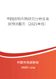 中国音响市场研究分析及发展预测报告(2025年版) 中国音响市场研究分析及发展预测报告(2025年版)