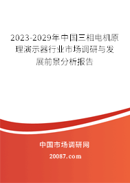 2023-2029年中国三相电机原理演示器行业市场调研与发展前景分析报告