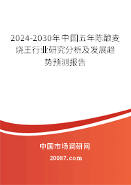 2024-2030年中国五年陈酿麦烧王行业研究分析及发展趋势预测报告