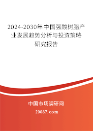 2024-2030年中国强酸树脂产业发展趋势分析与投资策略研究报告