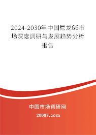 2024-2030年中国尼龙66市场深度调研与发展趋势分析报告