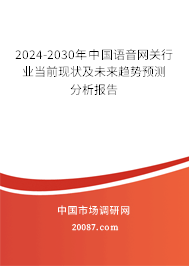 2024-2030年中国语音网关行业当前现状及未来趋势预测分析报告