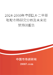 2024-2030年中国2,4-二甲基吡啶市场研究分析及未来前景预测报告