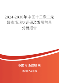 2024-2030年中国十三碳二元酸市场现状调研及发展前景分析报告