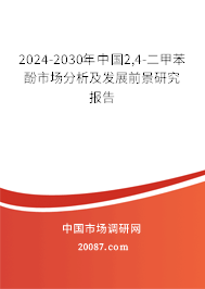 2024-2030年中国2,4-二甲苯酚市场分析及发展前景研究报告