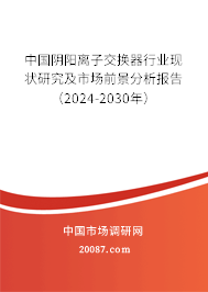 中国阴阳离子交换器行业现状研究及市场前景分析报告（2024-2030年）