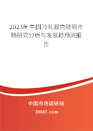 2023年中国冷轧取向硅钢市场研究分析与发展趋预测报告