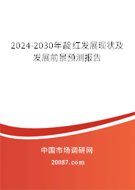 2024-2030年靛红发展现状及发展前景预测报告