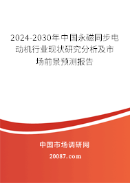 2024-2030年中国永磁同步电动机行业现状研究分析及市场前景预测报告