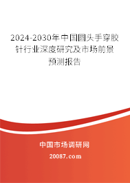 2024-2030年中国圆头手穿胶针行业深度研究及市场前景预测报告