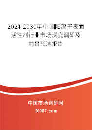 2024-2030年中国阳离子表面活性剂行业市场深度调研及前景预测报告