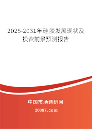 2025-2031年硅胶发展现状及投资前景预测报告 2025-2031年硅胶发展现状及投资前景预测报告