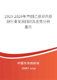 2023-2029年中国乙基异丙基醚行业发展回顾及走势分析报告