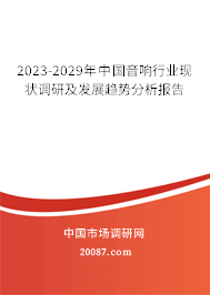 2023-2029年中国音响行业现状调研及发展趋势分析报告