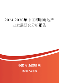 2024-2030年中国印刷电池产业发展研究分析报告