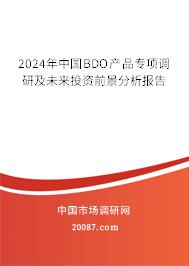 2024年中国BDO产品专项调研及未来投资前景分析报告