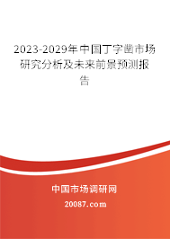 2023-2029年中国丁字凿市场研究分析及未来前景预测报告