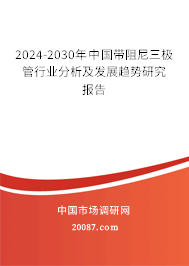 2024-2030年中国带阻尼三极管行业分析及发展趋势研究报告