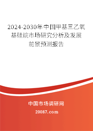 2024-2030年中国甲基三乙氧基硅烷市场研究分析及发展前景预测报告