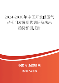 2024-2030年中国开发低压气动阀门发展现状调研及未来趋势预测报告