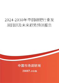 2024-2030年中国硼肥行业发展回顾及未来趋势预测报告