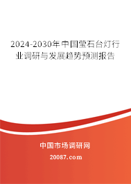 2024-2030年中国莹石台灯行业调研与发展趋势预测报告