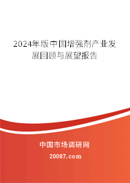 2024年版中国增强剂产业发展回顾与展望报告