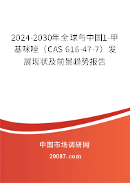 2024-2030年全球与中国1-甲基咪唑（CAS 616-47-7）发展现状及前景趋势报告