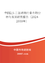 中国2,5-二氢呋喃行业市场分析与发展趋势报告（2024-2030年）