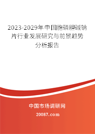 2023-2029年中国胞磷胆碱钠片行业发展研究与前景趋势分析报告