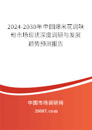 2024-2030年中国爆米花调味粉市场现状深度调研与发展趋势预测报告